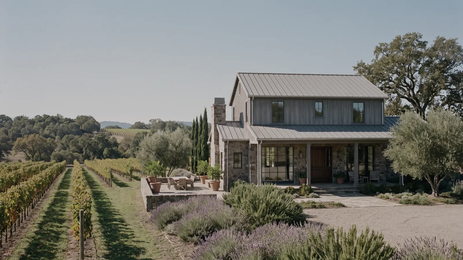 A farmhouse with a metal roof beside rows of grapevines